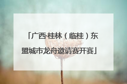 广西·桂林（临桂）东盟城市龙舟邀请赛开赛
